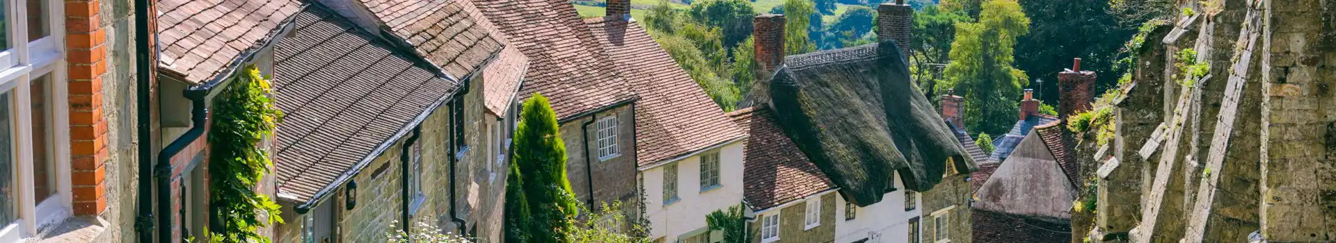 Shaftesbury campsites