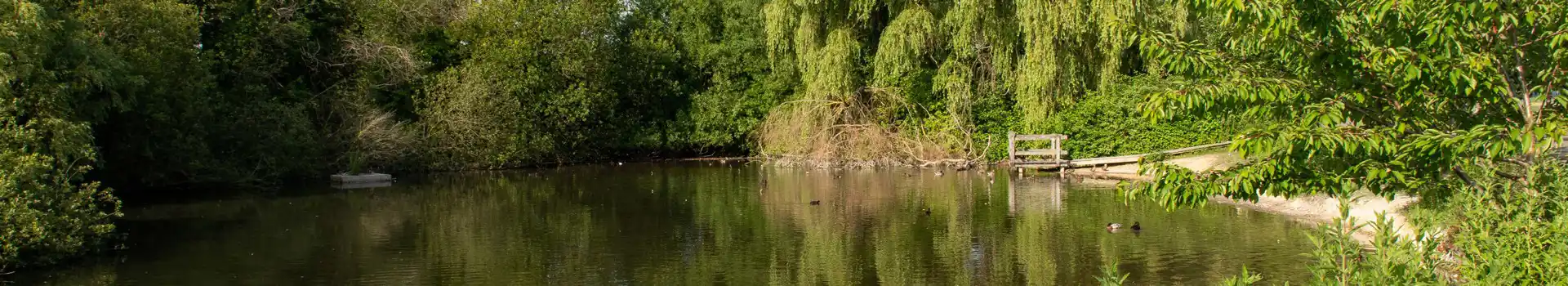 Basingstoke