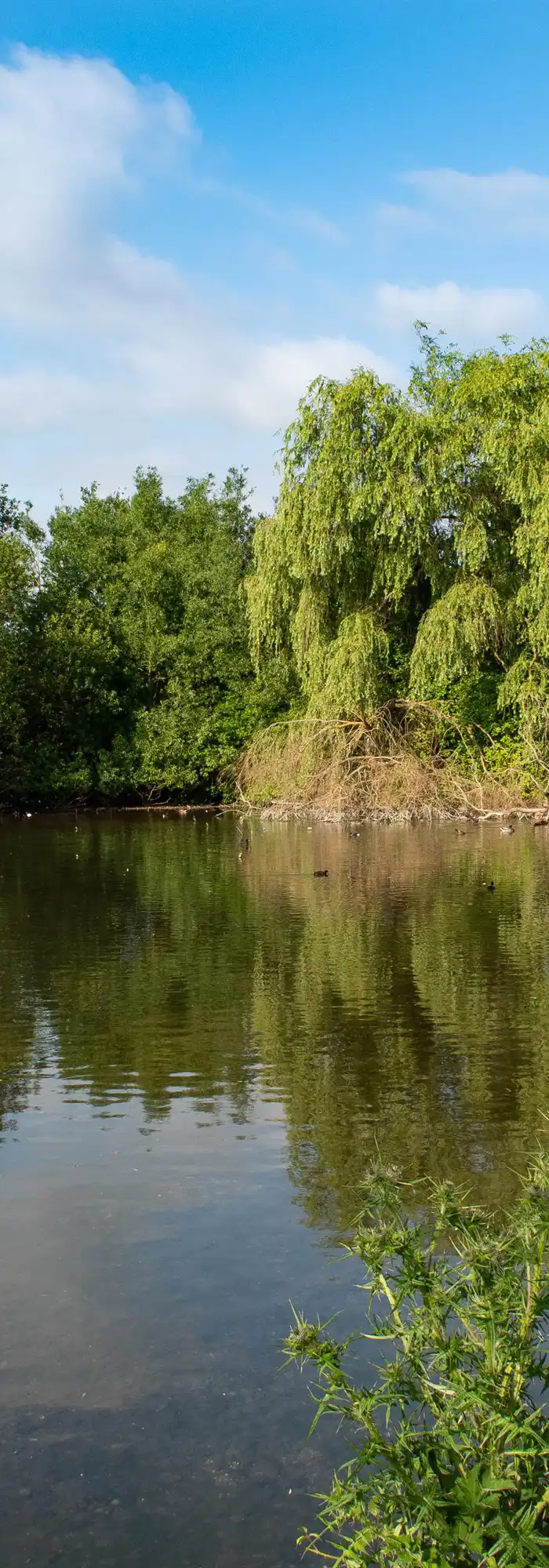 5 campsites in Basingstoke top camping!