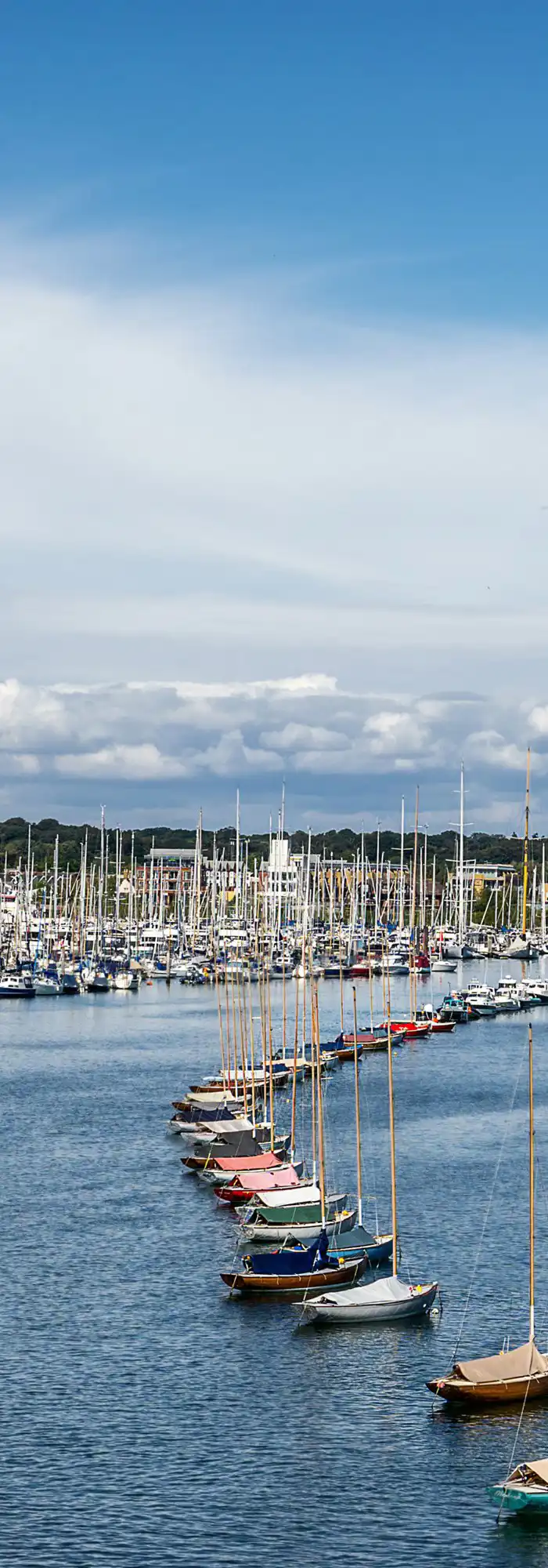 40+ campsites in Lymington - top camping!