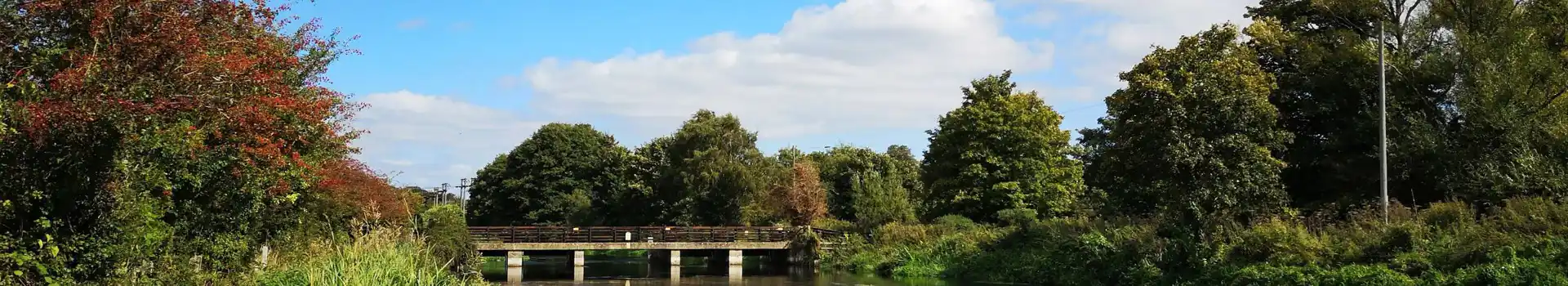 Campsites near Ringwood