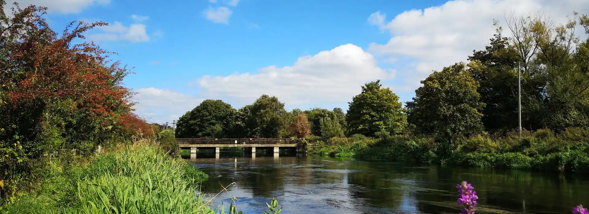 Campsites near Ringwood