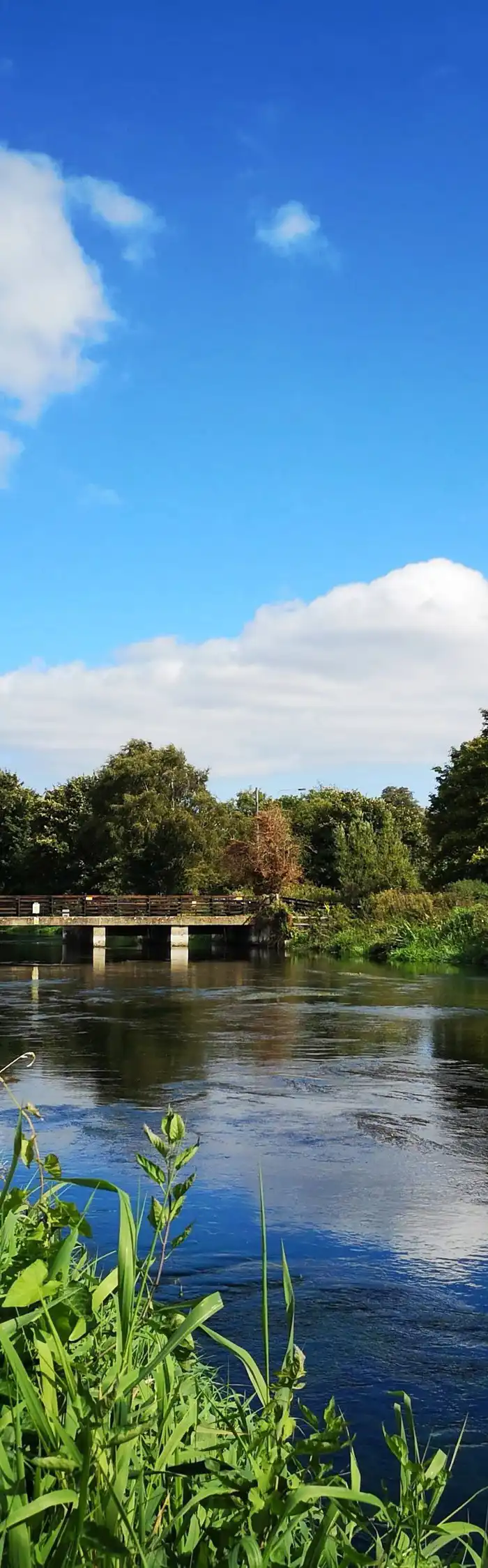 40+ Ringwood campsites Best camping in Ringwood, Hampshire