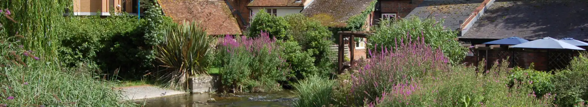 Campsites near Andover