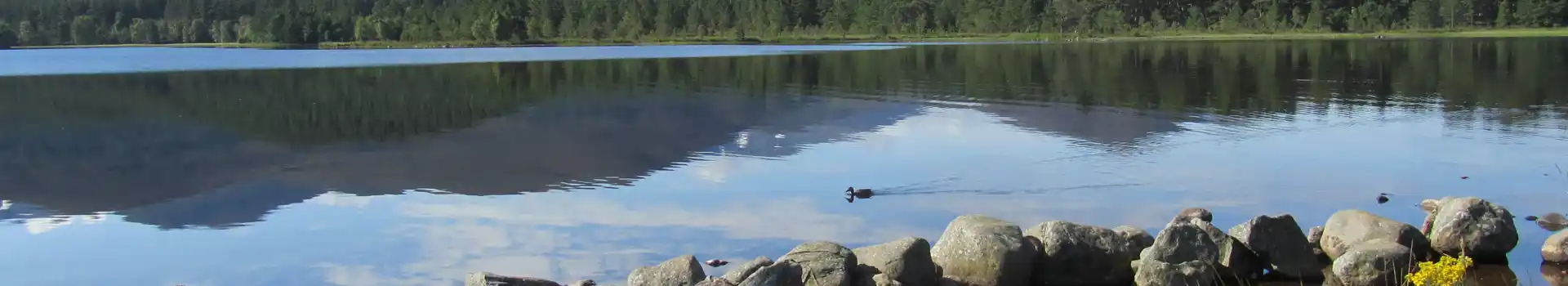 Campsites near Aviemore