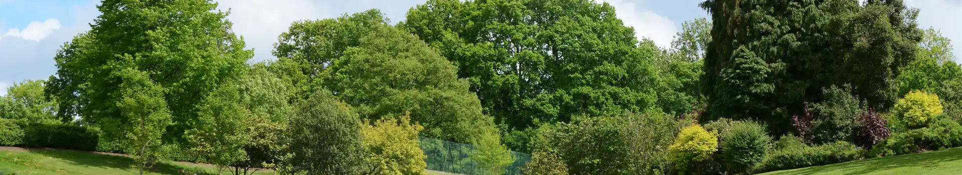 Tunbridge Wells