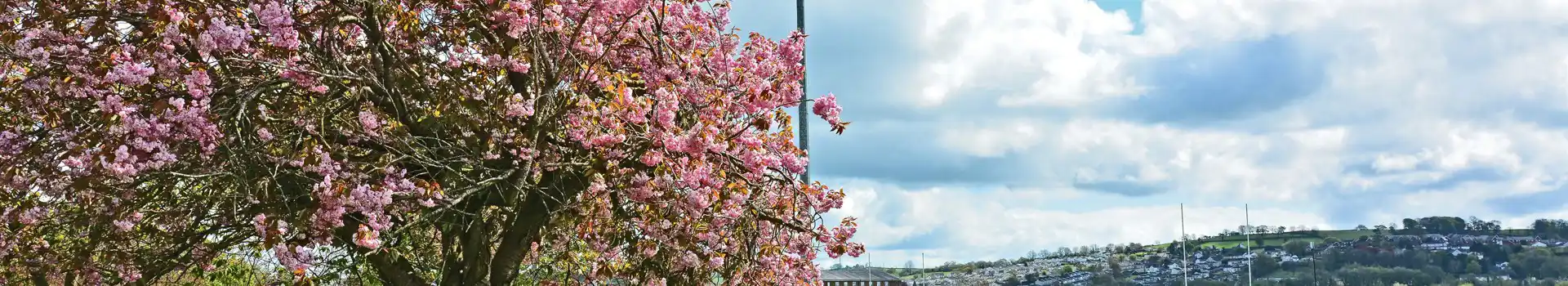 Carmarthen campsites