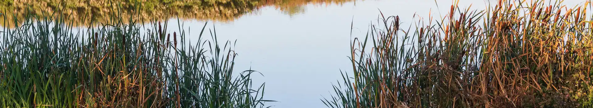 Melton Mowbray campsites