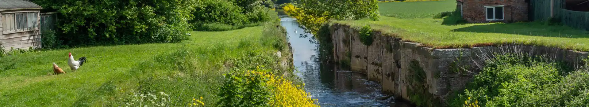 Louth