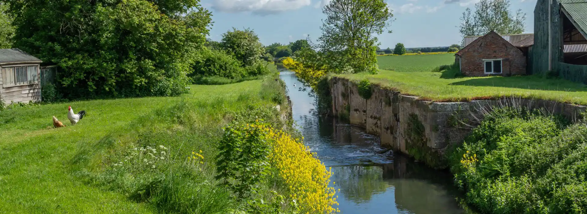 Louth