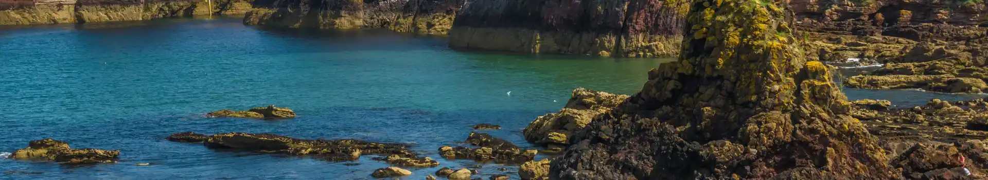 Dunbar