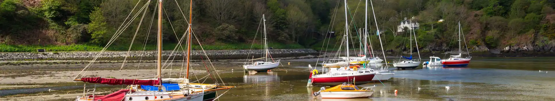 Fishguard boats
