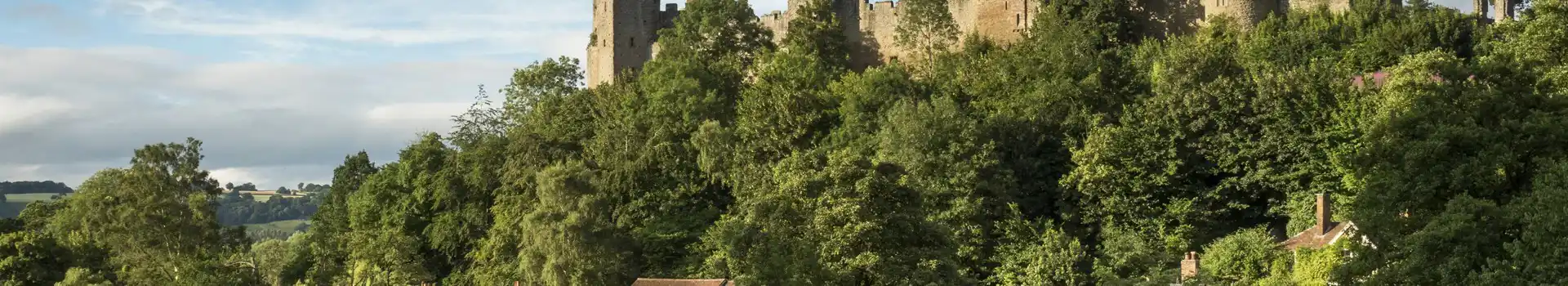 Campsites near Ludlow 