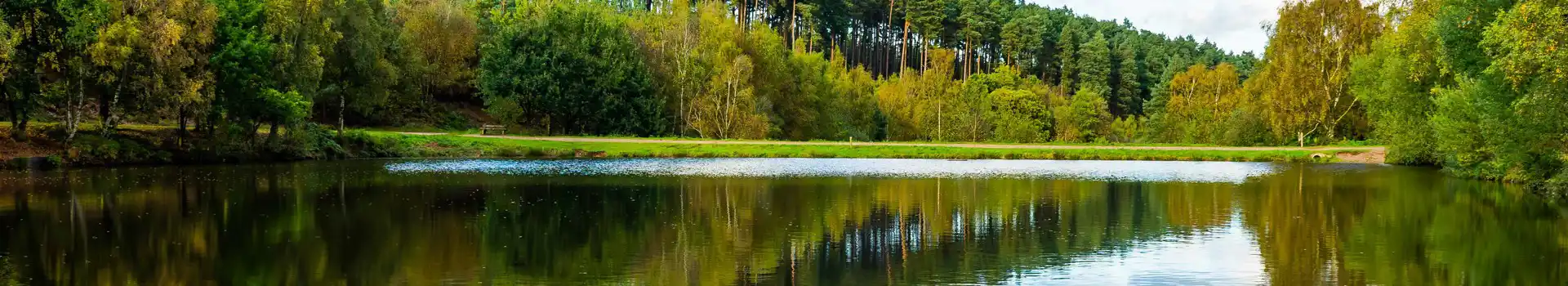 Campsites near Cannock