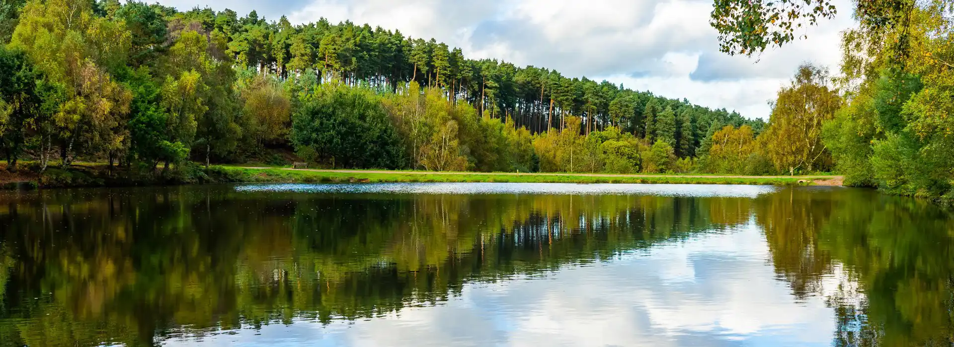 Campsites near Cannock