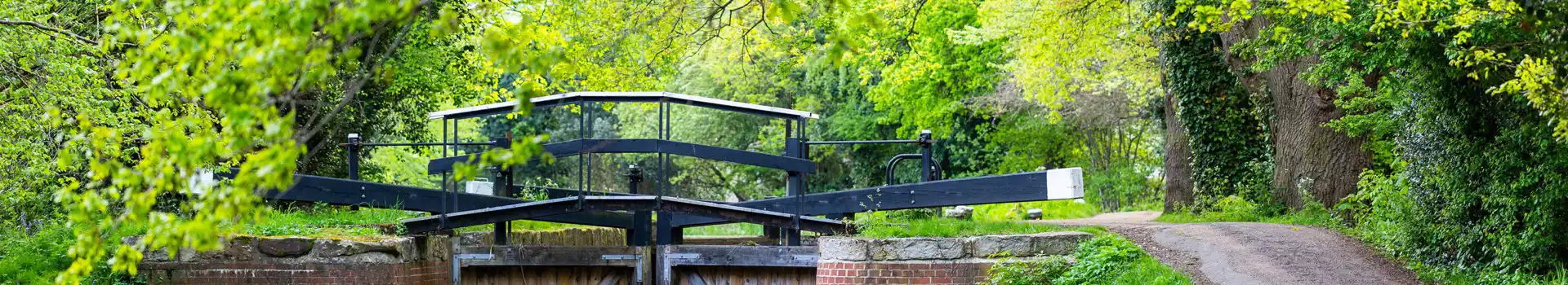 Campsites near Woking