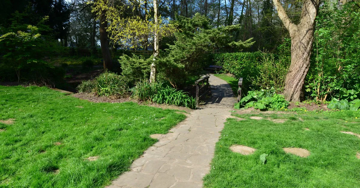 Horsham campsites 15+ top Horsham camping sites in Sussex