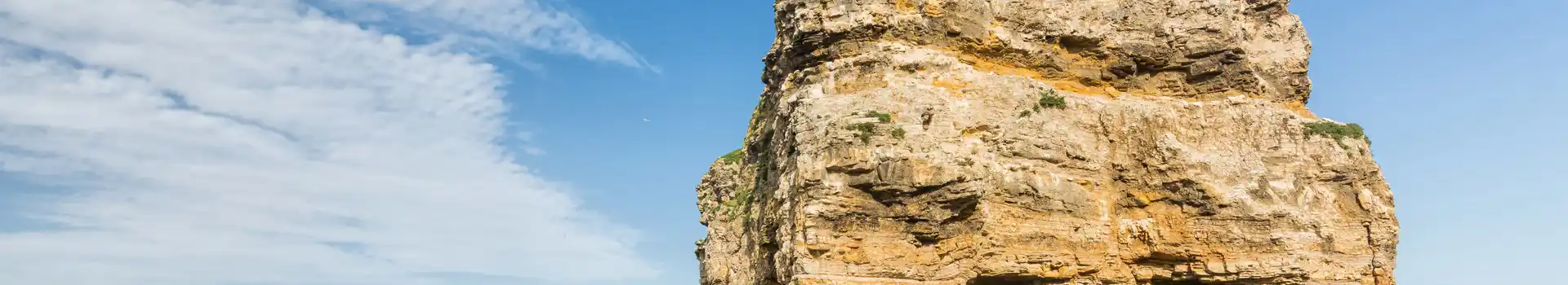 Campsites near South Shields