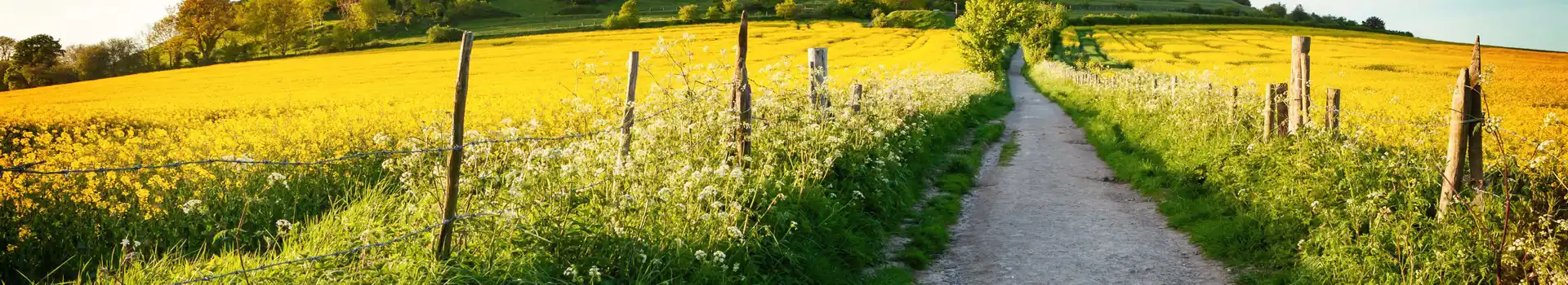 Warminster campsites