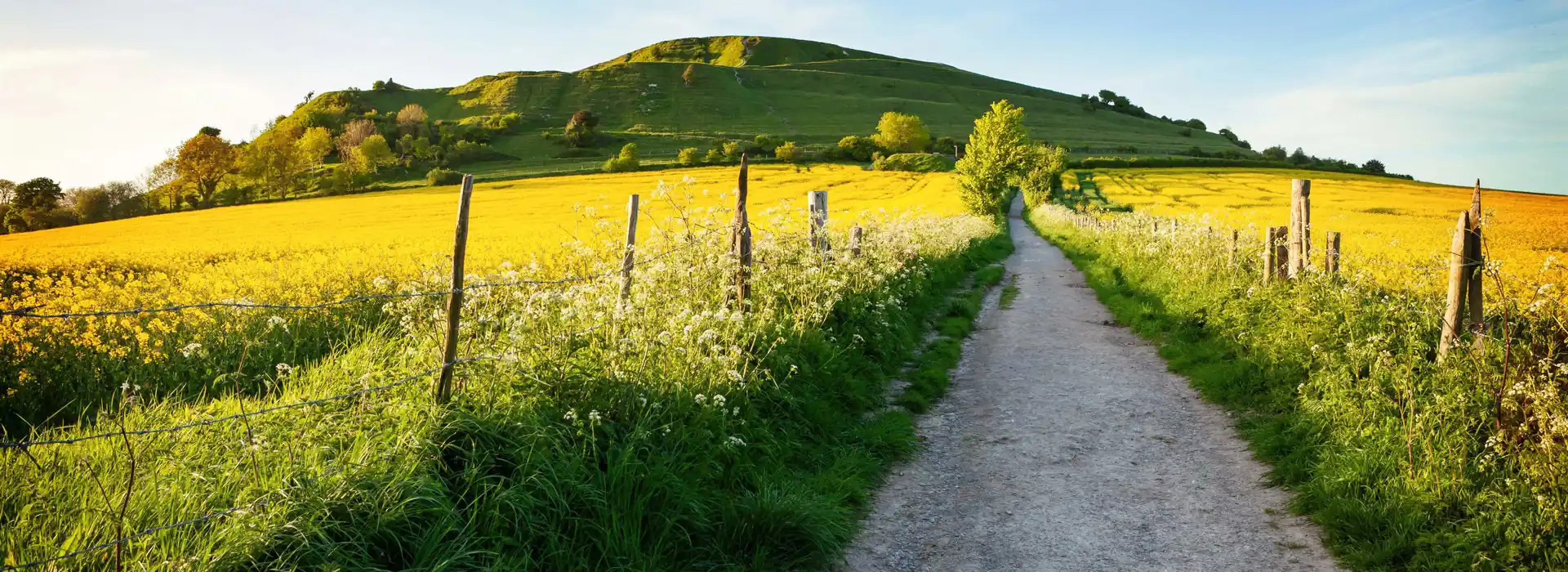 Warminster campsites