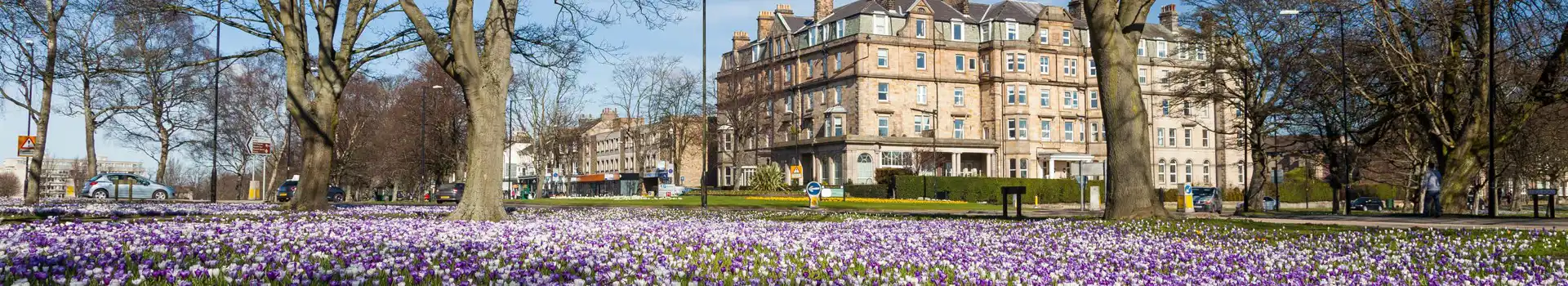 Campsites near Harrogate