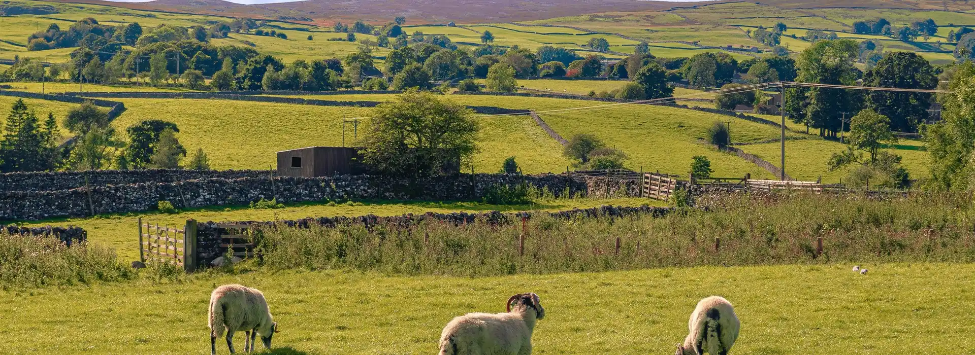 Skipton campsites with electric hook up