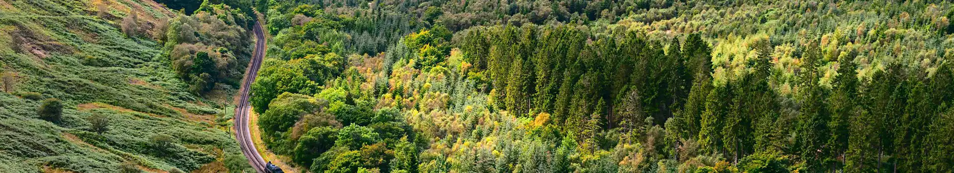Pickering campsites