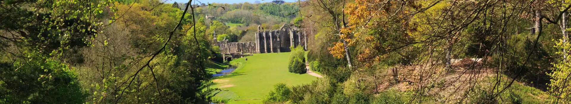 Ripon campsites