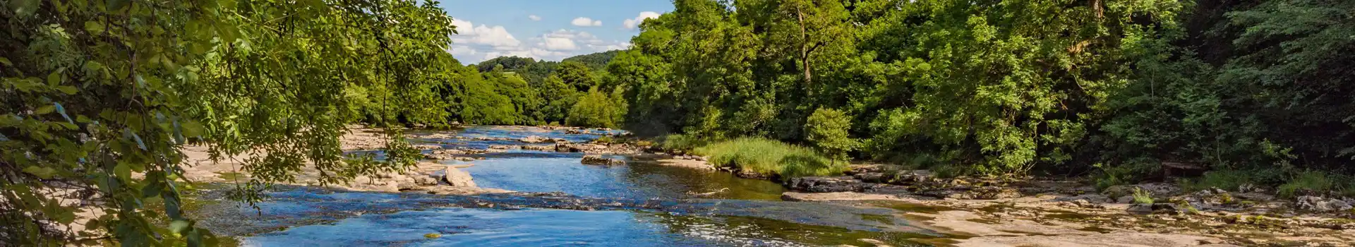 Campsites near Leyburn