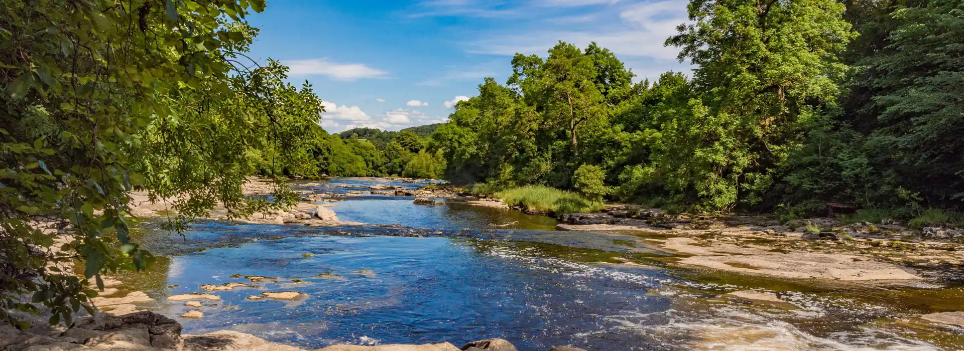 Campsites near Leyburn