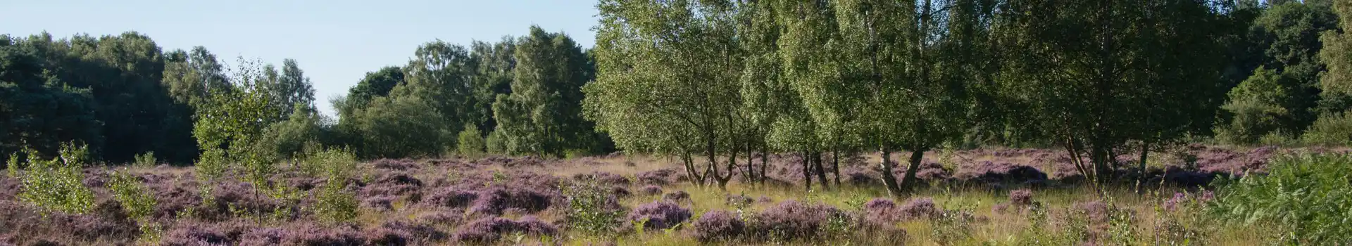 Pocklington campsites