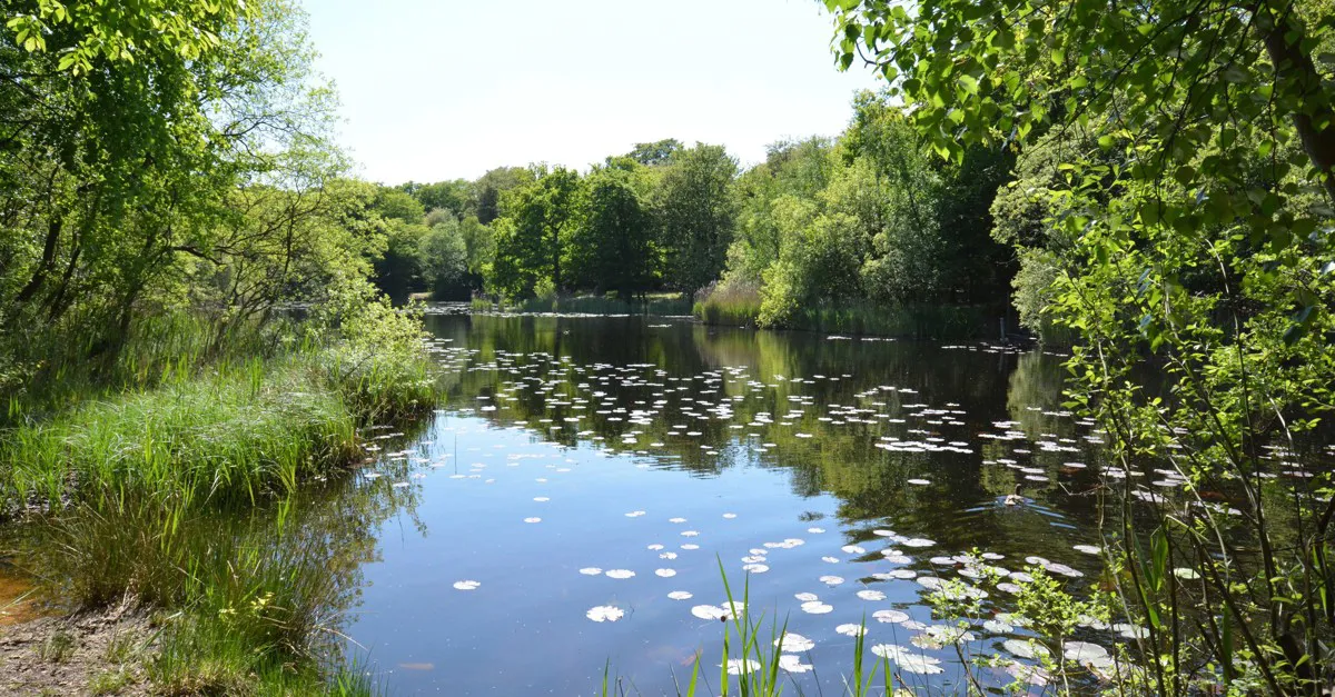 6 Epping campsites Best sites for camping in Epping, Essex