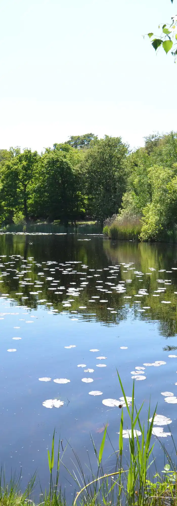 6 Epping campsites Best sites for camping in Epping, Essex