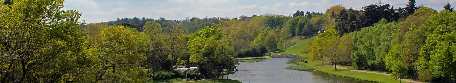 Leatherhead campsites