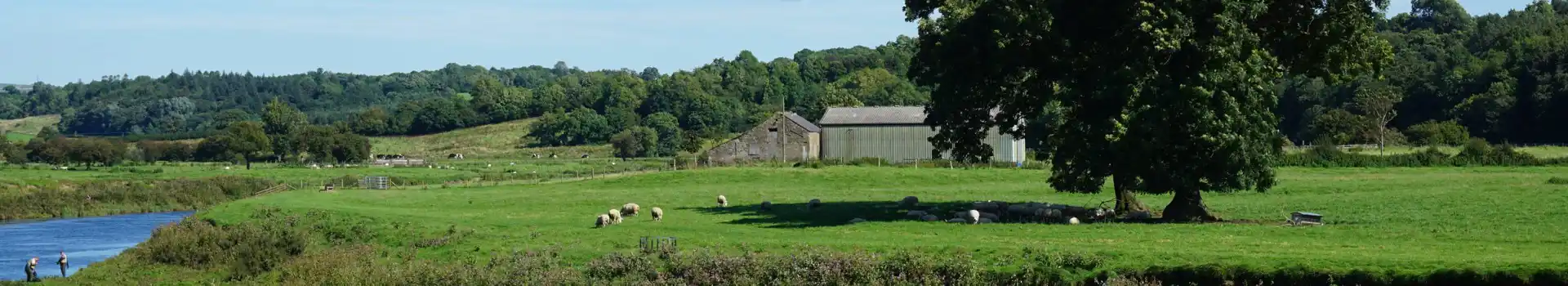 Ribchester campsites