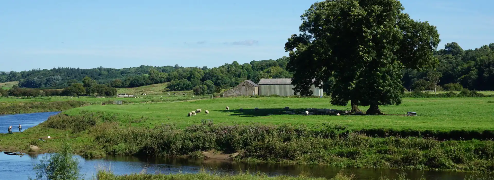 Ribchester campsites