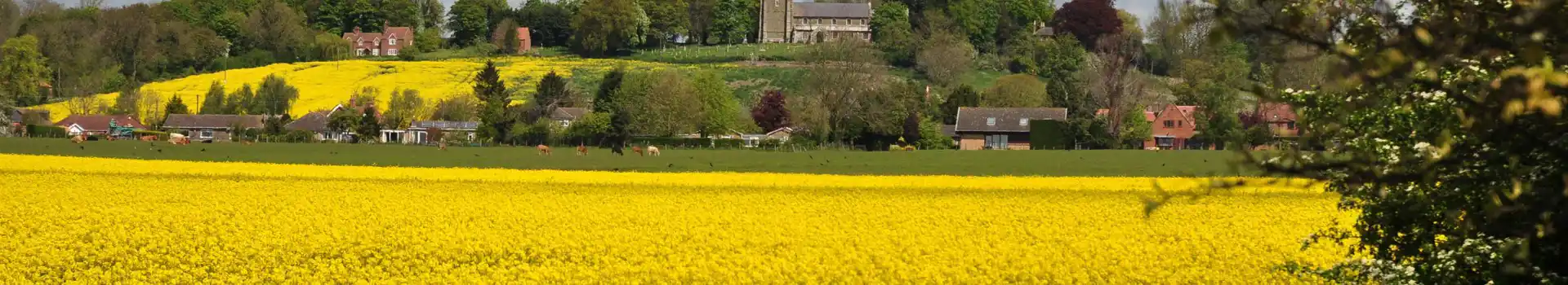 Horncastle campsites