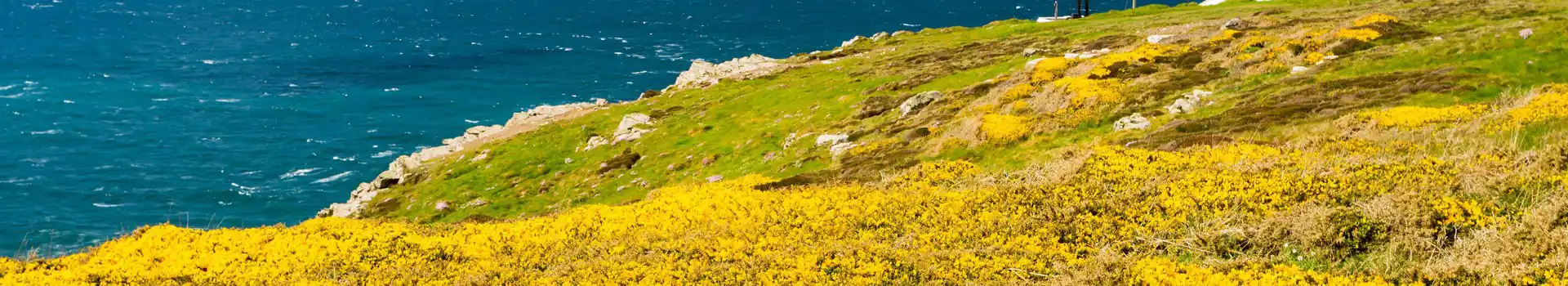 Pendeen Watch headland with Pendeen Lighthouse