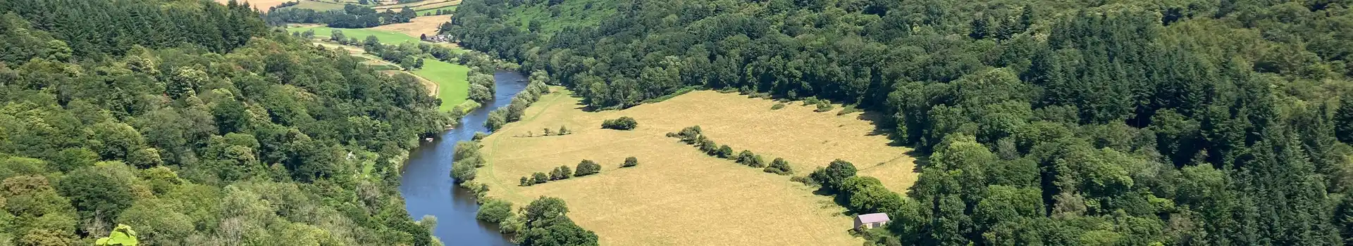 Symonds Yat campsites