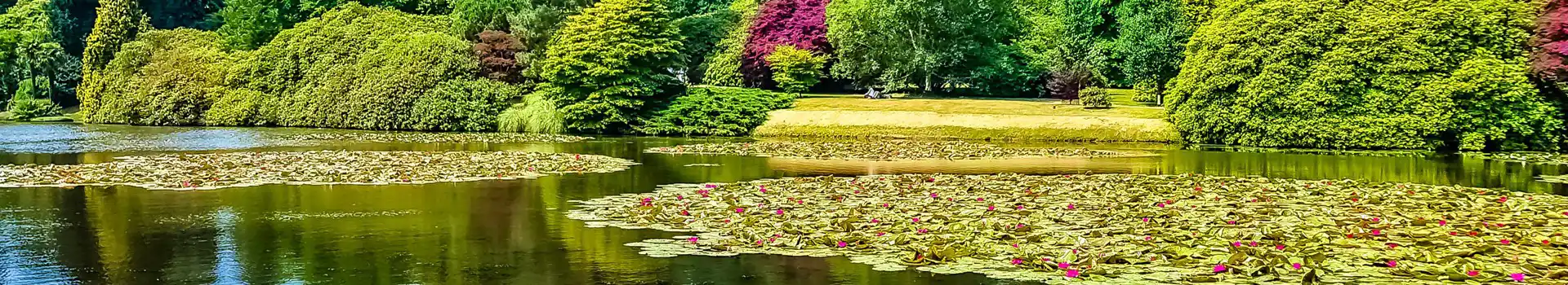 Uckfield campsites