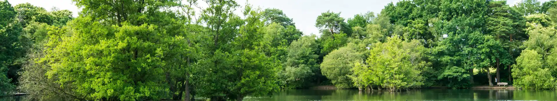 Wokingham campsites