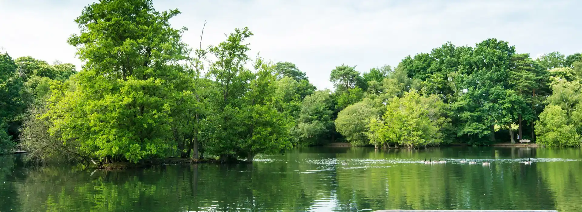 Wokingham campsites Wokingham campsites