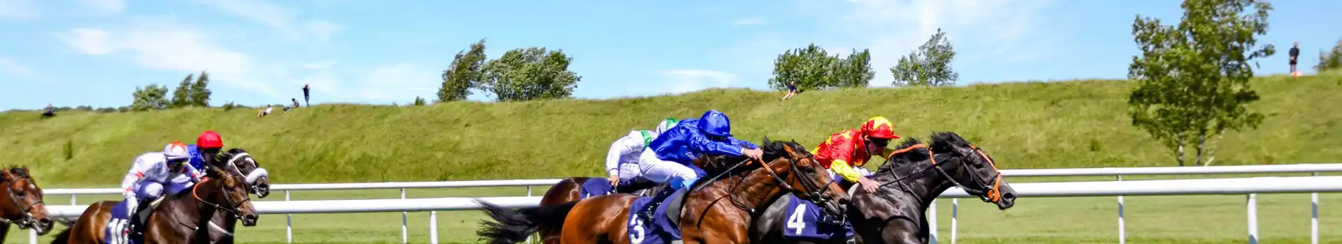 Campsites near Newmarket