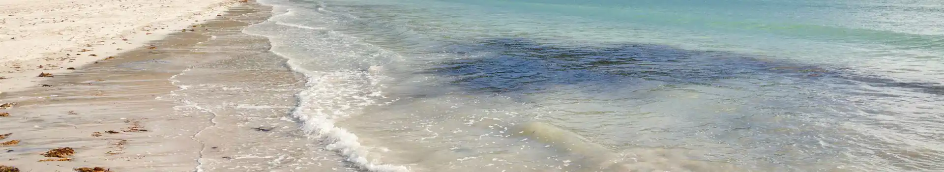 Isle of Mull campsites