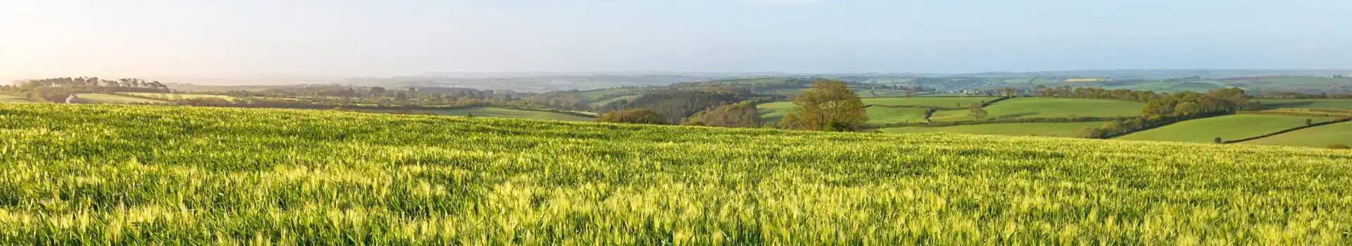 Callington campsites