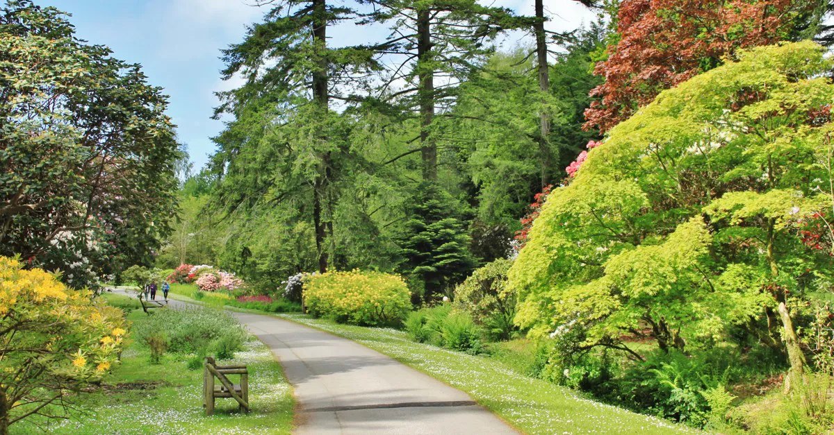 www.campsites.co.uk