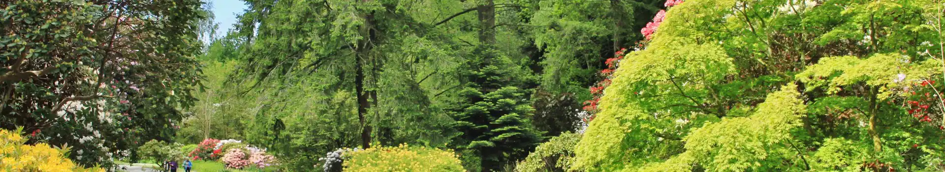 Ravenglass campsites