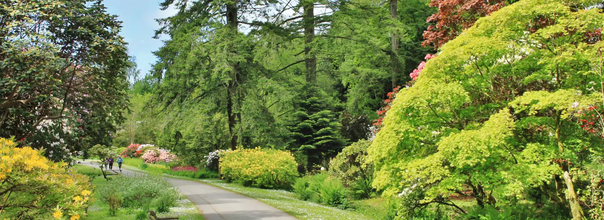 Ravenglass campsites