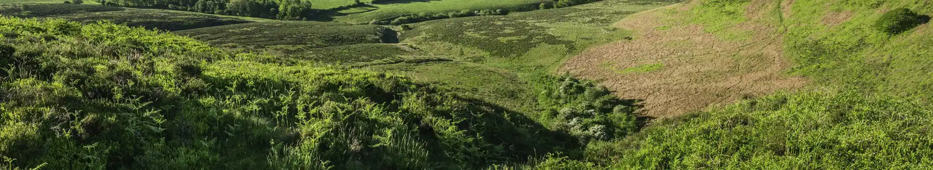 Goathland campsites