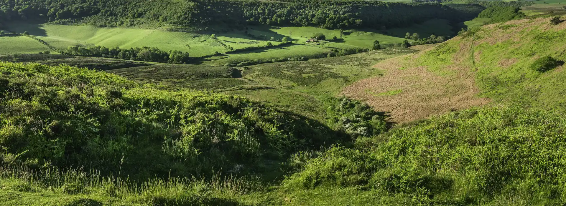 Goathland campsites